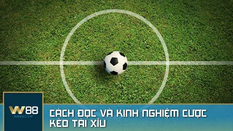 Kèo tải xỉu: Cách đọc và chơi loại kèo này để có tỷ lệ thắng tốt nhất